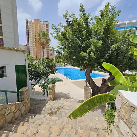 Girasol 4 If * Benidorm